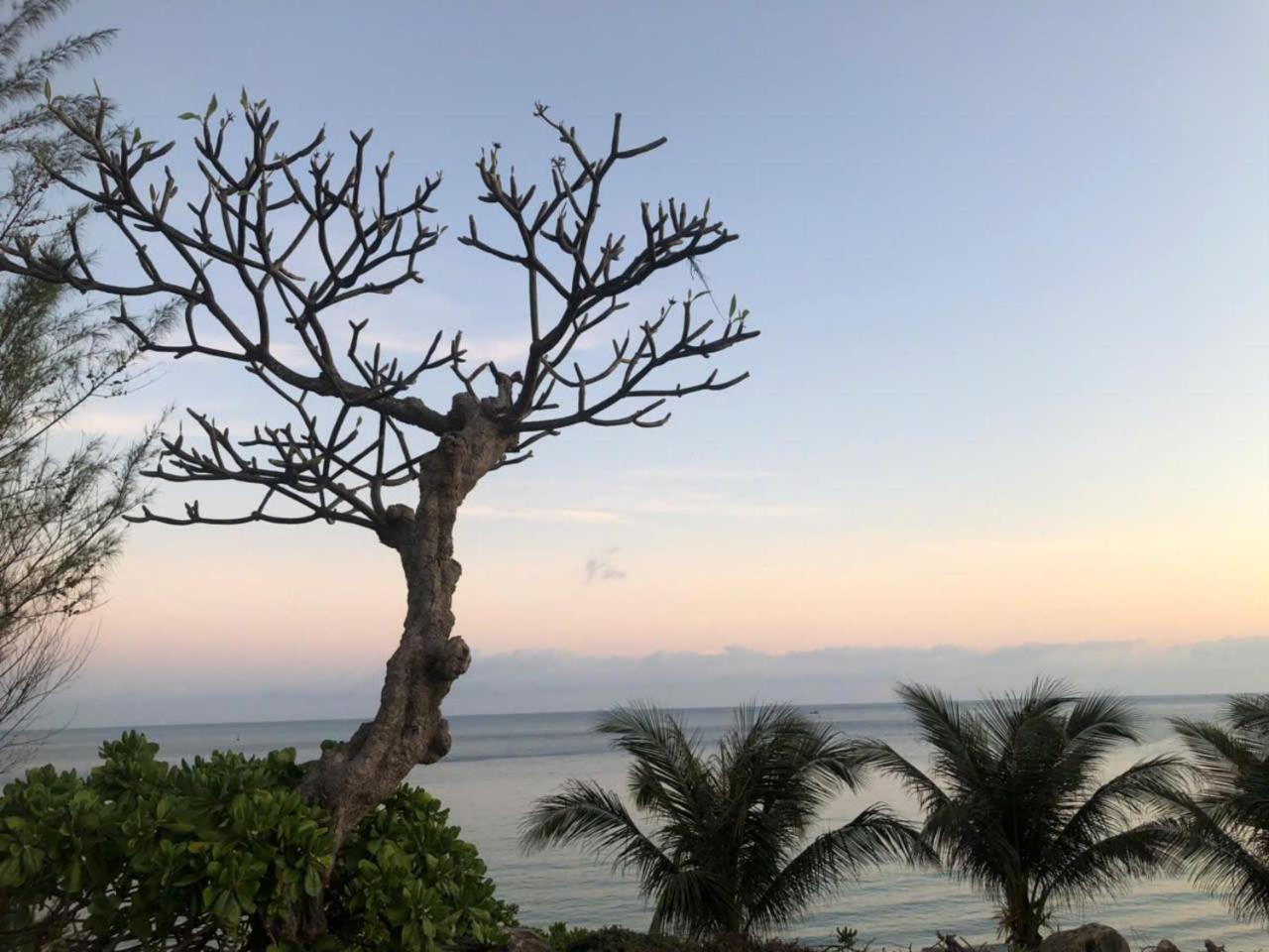 Orson Hotel & Resort Con Dao Chi Khu Co Ong Екстериор снимка